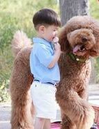 2026年单身女性在粤北人民医院做试管可以成功吗？成功率高吗？